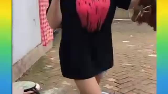 Smart dog 🐕