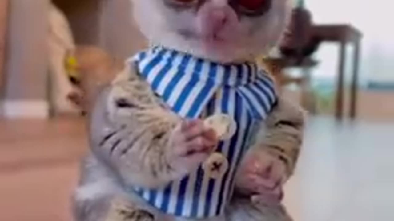 Best Funny Animal Videos of the year (2023), funniest animals ever. relax with cute animals video