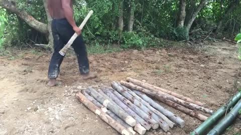 Construction from bamboo, For Dogs Very Beautiful