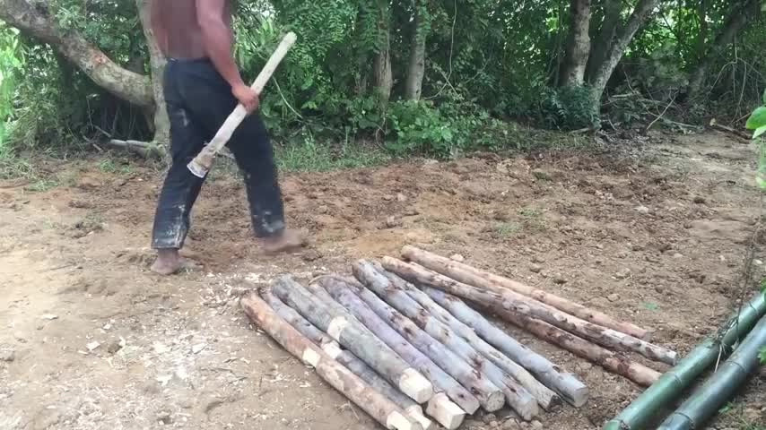 Construction from bamboo, For Dogs Very Beautiful