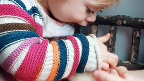 When Your Toddler Is an Expert in Chicken Anatomy