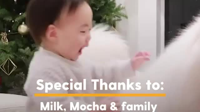 Dog does the sweetest thing every time she hears her baby sister cry