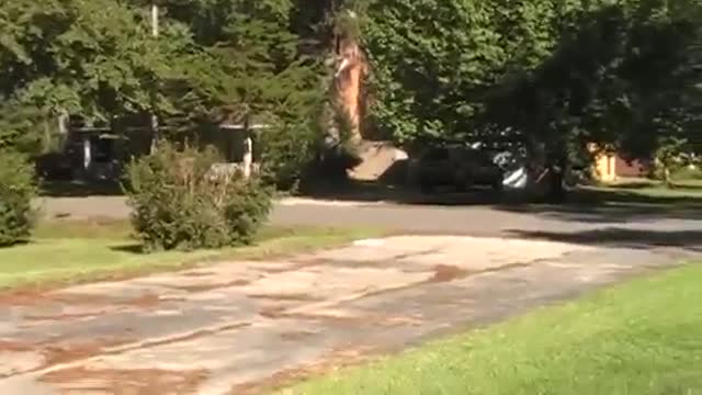 MOV02D
