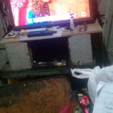 arte as flores do quadro criação pintura