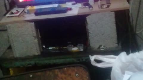arte as flores do quadro criação pintura