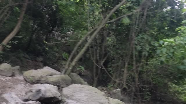 The Natural Spring| Beauty of Nature| Margalla Hills Pakistan |Hiking Trail