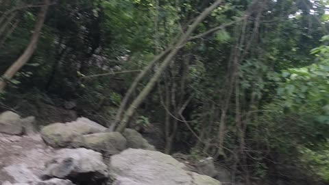 The Natural Spring| Beauty of Nature| Margalla Hills Pakistan |Hiking Trail