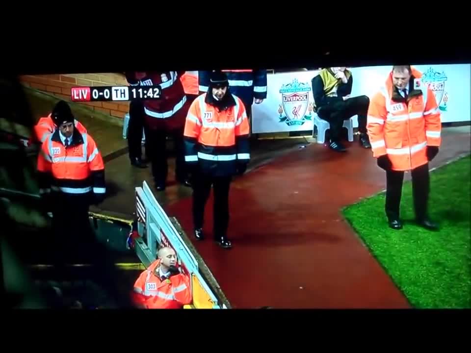 CAT ON FOOTBALL PITCH LIVERPOOL V SPURS