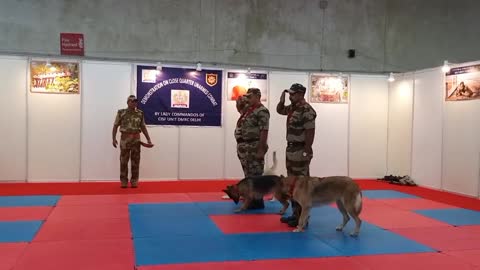 CISF demonstration of dog training