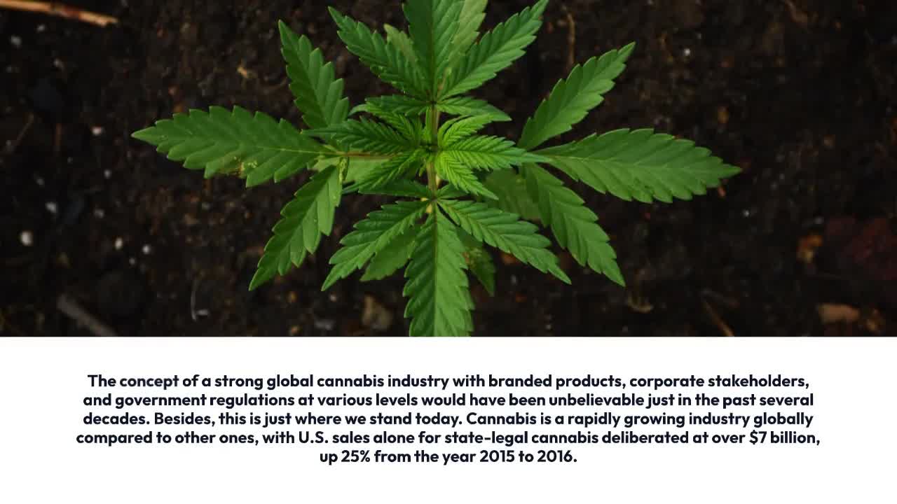 Metabolomic Research Measurements of Ion Suppression for Cannabis Standards