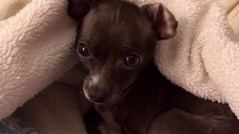 Ahh!! she is good girl