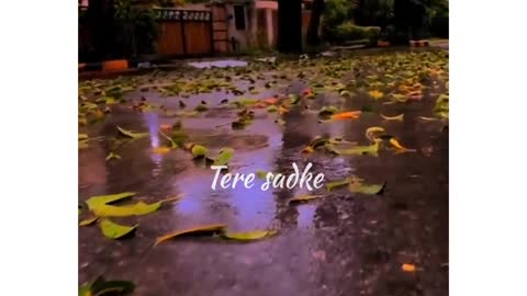 Waareya / WhatsApp Status