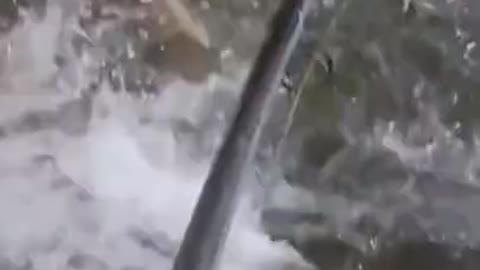 Best Fishing Video - Big Fishing