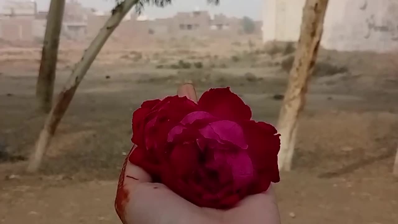 Dua