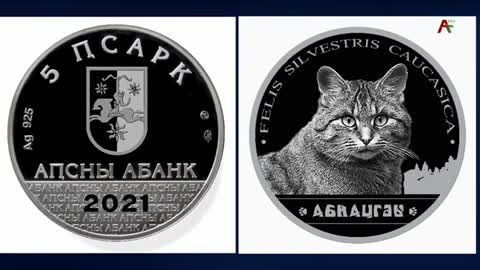 Новости Абхазии - 11.11.2021