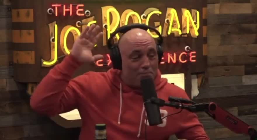 Rogan RIPS The Left's Use Of The Term "Antifascists"