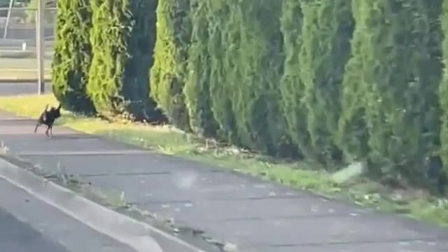 Busted!