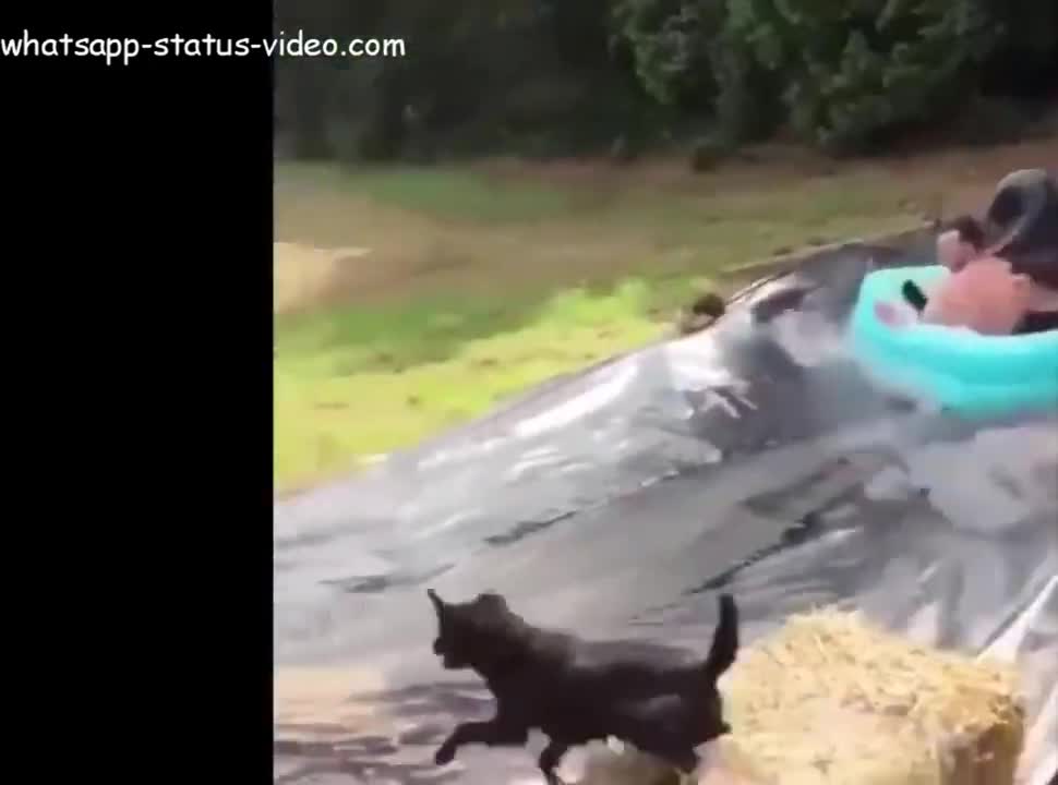 funny video watch and laugh..