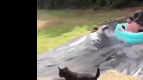 funny video watch and laugh..