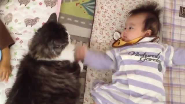 Cats Protecting & Talking Care Babies Video Compilation ll Cute ll Funny