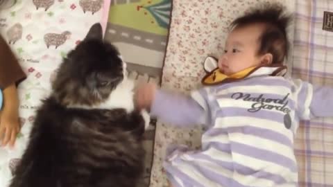 Cats Protecting & Talking Care Babies Video Compilation ll Cute ll Funny