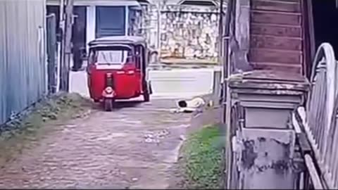 হুজুরের বুদ্ধি আছে