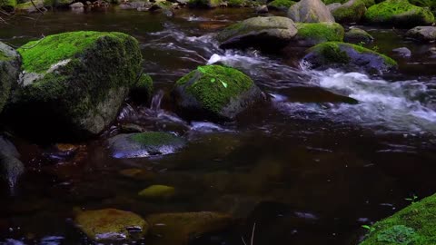 waterfall feel fresh