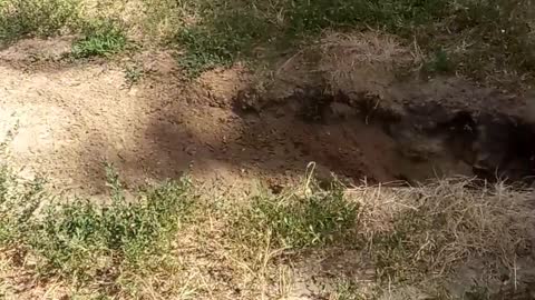 Surprise in a hole