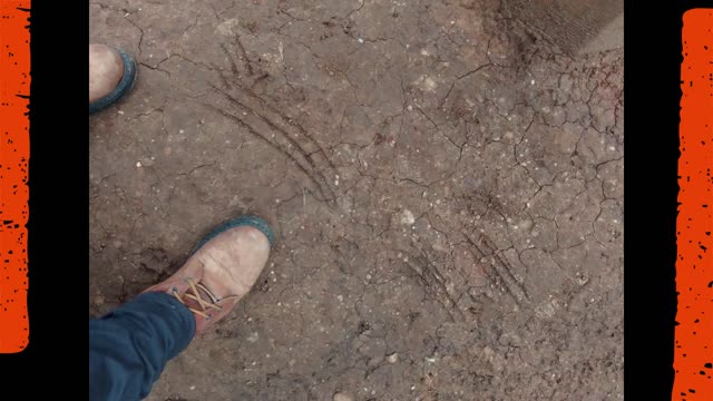 Reports of Werewolves / Dogman sightings in Chiapas, Mexico ~ April 2020