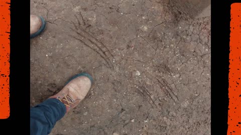 Reports of Werewolves / Dogman sightings in Chiapas, Mexico ~ April 2020