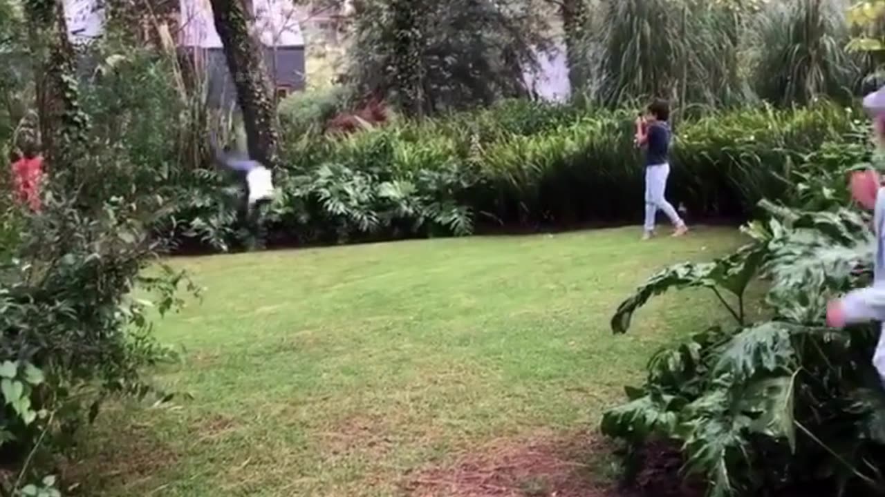 The end 😂😂😂 #viral #shorts #fails #funny #mmvfunny