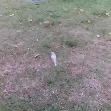 5.12.2023 Party in the Park