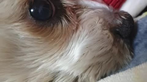 The baby sleeping pretty is sleepy and dreams of his eyes a ha ha ha ha ha ha ha ha ha ha ha ha
