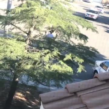 Shooting incident in San Bernardino County