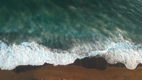 Beach Beauty