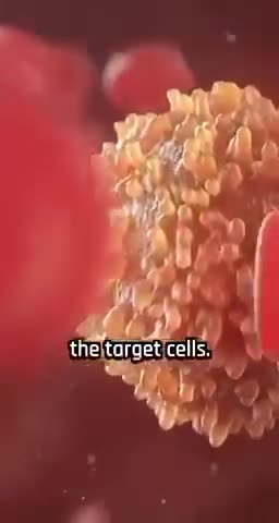 Honeybee venom kills cancer cells!