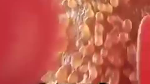 Honeybee venom kills cancer cells!