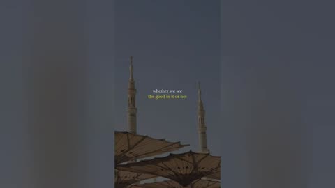 Islamic Reminders That Just Make Me Happy | TikTok Compilation