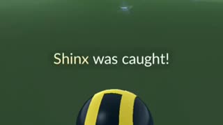 Pokémon GO-Shiny Shinx