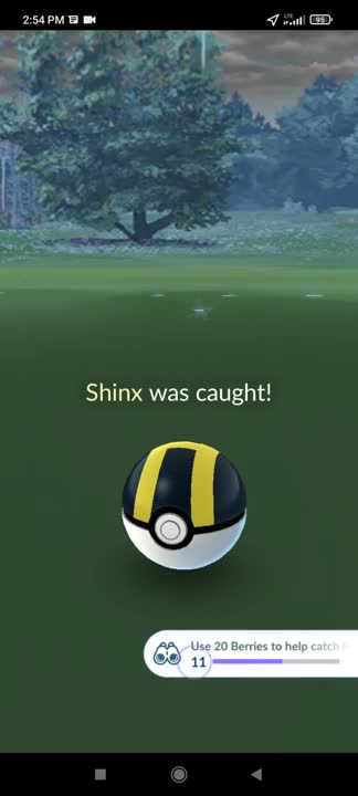 Pokémon GO-Shiny Shinx