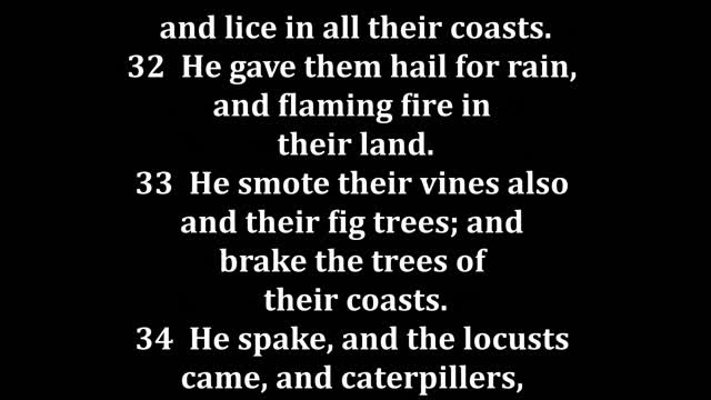 Psalms 105 King James version