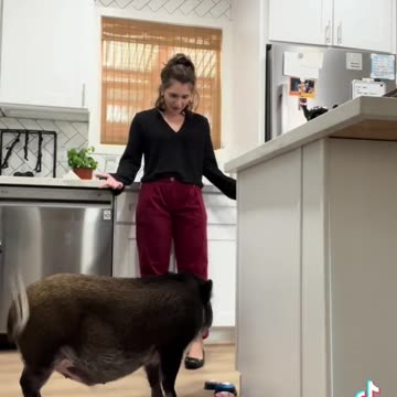 He doesnt get his way, so he pouts