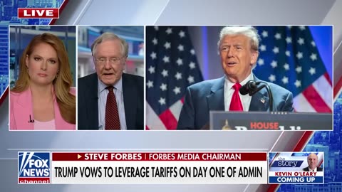 Trump wants a 'vibrant economy again,' Steve Forbes says