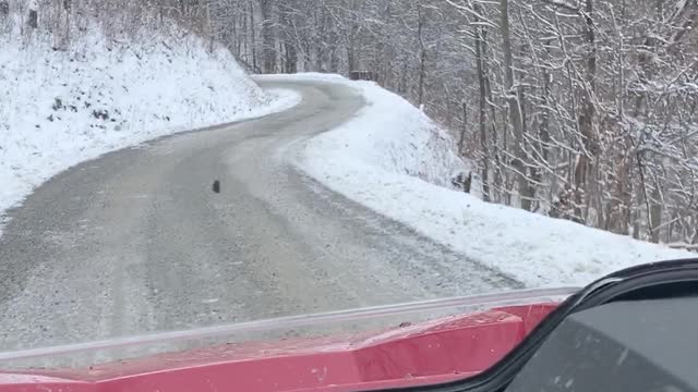 Just a Quick view of the ride down the mountain on the RZR XP TURBO