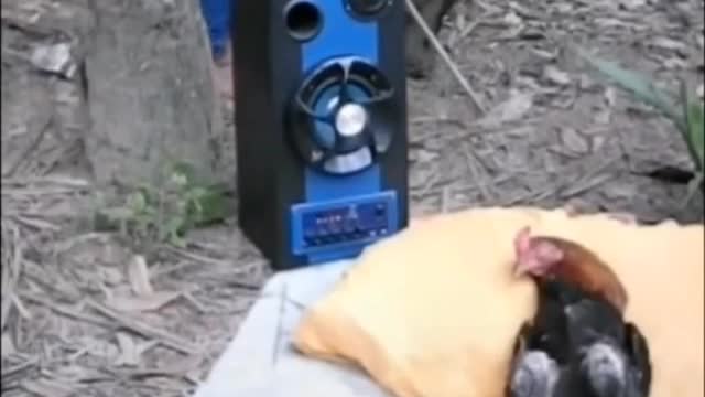 That's Evil Prank