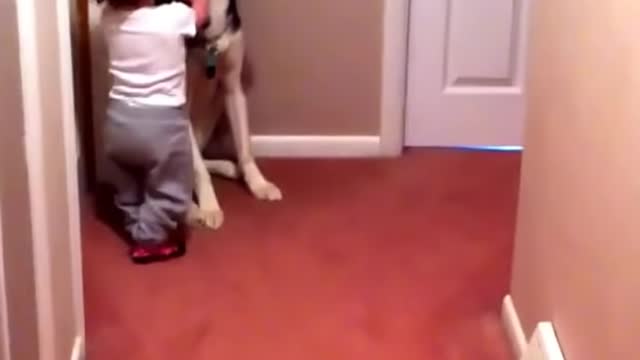 Baby scared of vacuum runs to dog for protection