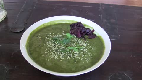 DISEASE PREVENTION RECIPES MINERAL RICH GREEN SOUP - Jan 6th 2014