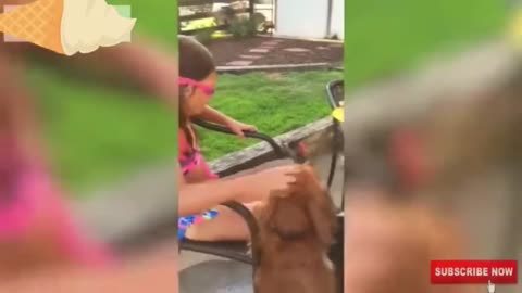 Funniest Parrots Videos | Part 3
