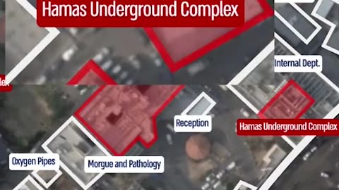 Hamas is a plague hiding in a hospital.