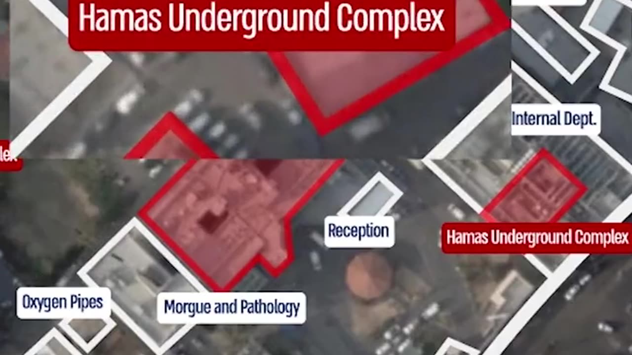 Hamas is a plague hiding in a hospital.